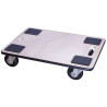 PLATEAU DEMENAGEUR 60X40 300KG     22466