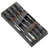 MOD.A6 /MOD.AT6      TOURNEVIS PROT2 MODULE T TORX 10PCE
