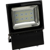 PROJ LED MURAL 30W 62045-30
